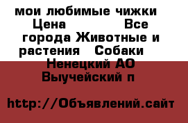 мои любимые чижки › Цена ­ 15 000 - Все города Животные и растения » Собаки   . Ненецкий АО,Выучейский п.